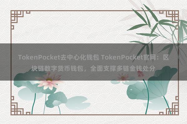 TokenPocket去中心化钱包 TokenPocket官网：区块链数字货币钱包，全面支撑多链金钱处分